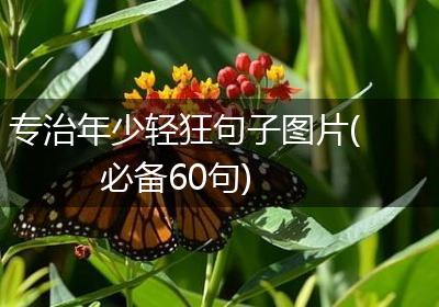 专治年少轻狂句子图片(必备60句)