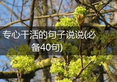 专心干活的句子说说(必备40句)