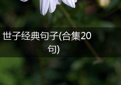 世子经典句子(合集20句)
