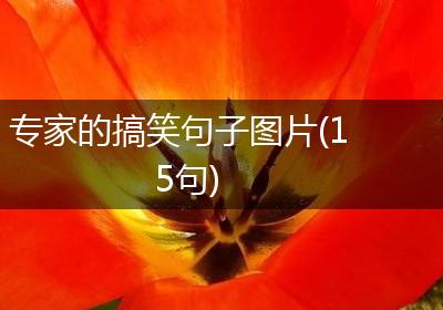 专家的搞笑句子图片(15句)
