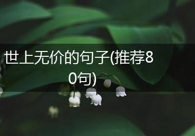 世上无价的句子(推荐80句)
