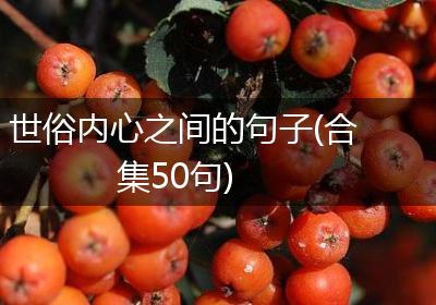 世俗内心之间的句子(合集50句)