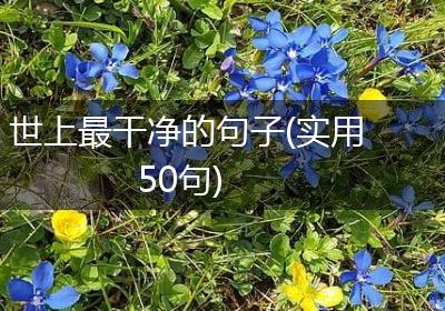 世上最干净的句子(实用50句)