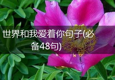 世界和我爱着你句子(必备48句)