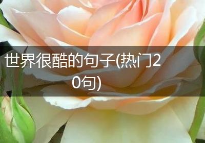 世界很酷的句子(热门20句)