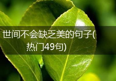 世间不会缺乏美的句子(热门49句)