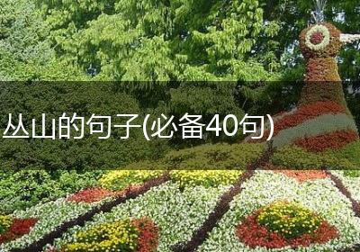 丛山的句子(必备40句)