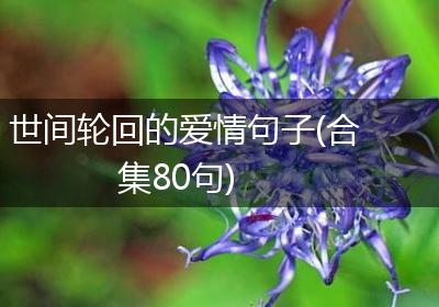 世间轮回的爱情句子(合集80句)