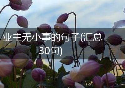 业主无小事的句子(汇总30句)