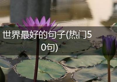 世界最好的句子(热门50句)