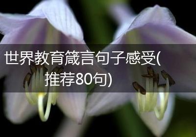 世界教育箴言句子感受(推荐80句)