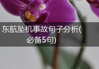 东航坠机事故句子分析(必备5句)