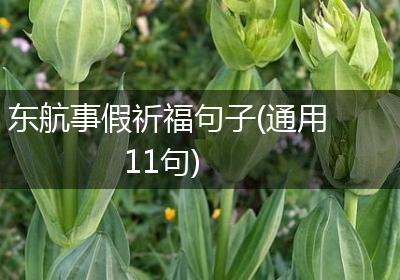 东航事假祈福句子(通用11句)