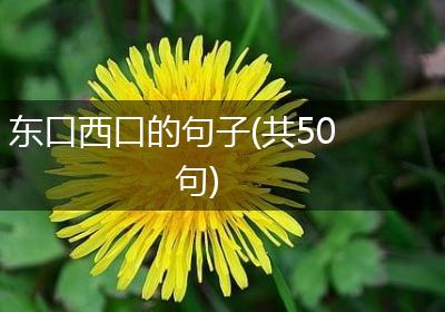 东口西口的句子(共50句)