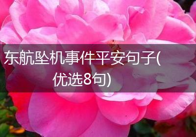 东航坠机事件平安句子(优选8句)