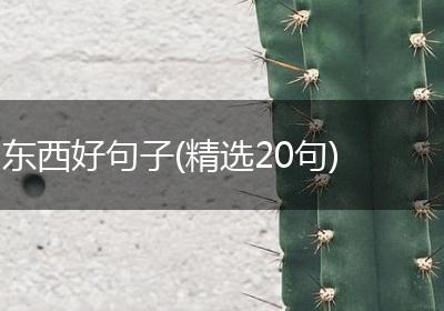 东西好句子(精选20句)