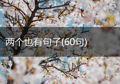 两个也有句子(60句)