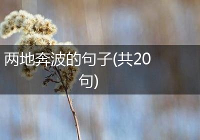 两地奔波的句子(共20句)