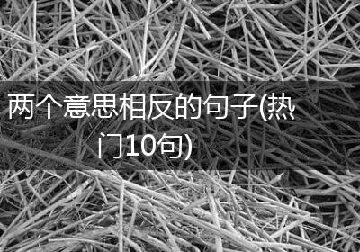 两个意思相反的句子(热门10句)