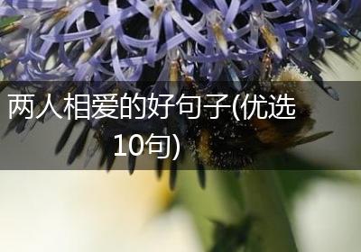 两人相爱的好句子(优选10句)