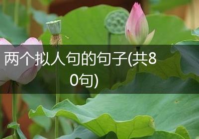 两个拟人句的句子(共80句)