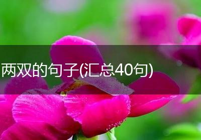两双的句子(汇总40句)