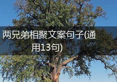 两兄弟相聚文案句子(通用13句)