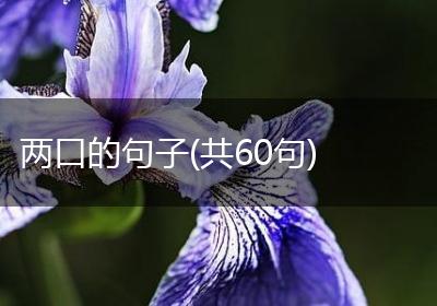 两口的句子(共60句)