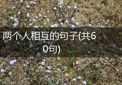 两个人相互的句子(共60句)