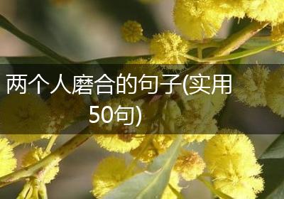 两个人磨合的句子(实用50句)