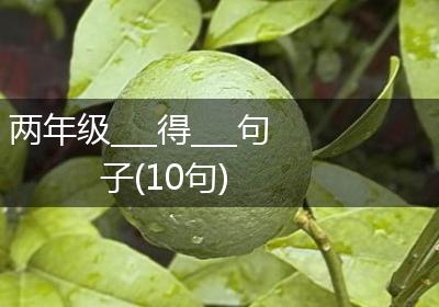 两年级___得___句子(10句)