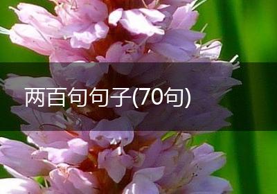 两百句句子(70句)