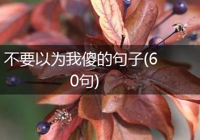 不要以为我傻的句子(60句)