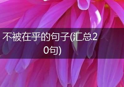 不被在乎的句子(汇总20句)