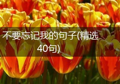 不要忘记我的句子(精选40句)