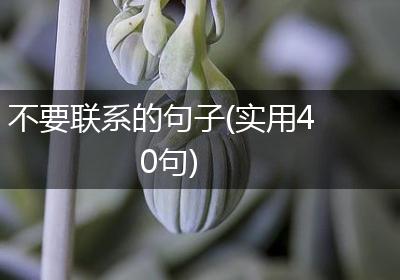 不要联系的句子(实用40句)