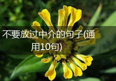 不要放过中介的句子(通用10句)