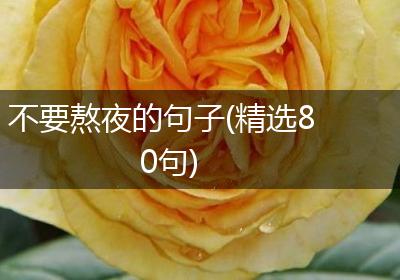 不要熬夜的句子(精选80句)