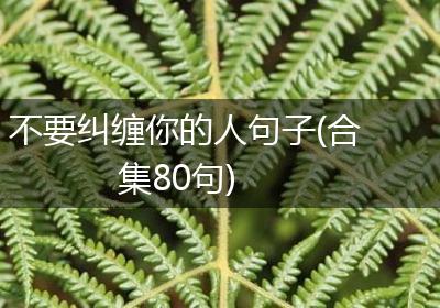 不要纠缠你的人句子(合集80句)