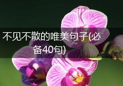 不见不散的唯美句子(必备40句)