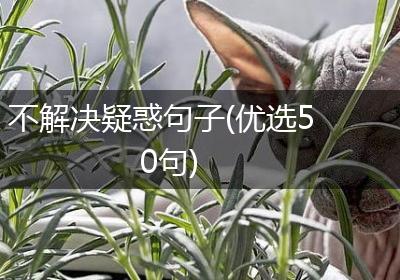 不解决疑惑句子(优选50句)