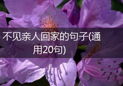 不见亲人回家的句子(通用20句)