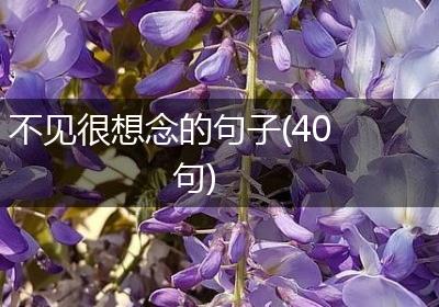 不见很想念的句子(40句)