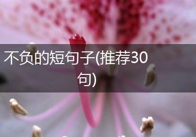 不负的短句子(推荐30句)