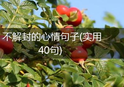 不解封的心情句子(实用40句)