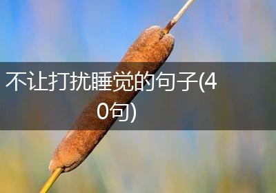 不让打扰睡觉的句子(40句)
