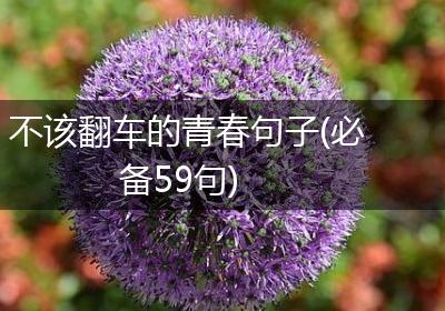 不该翻车的青春句子(必备59句)