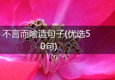 不言而喻造句子(优选50句)