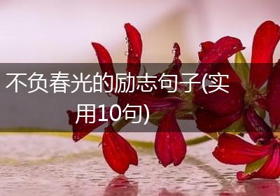 不负春光的励志句子(实用10句)