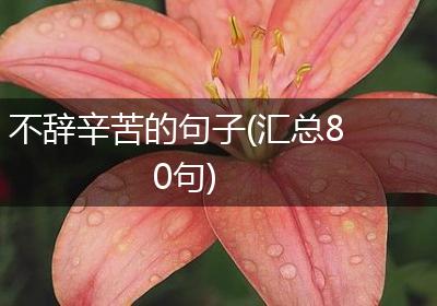 不辞辛苦的句子(汇总80句)